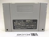 SK3134 Super Donkey Kong Country SNES Super Famicom Japan