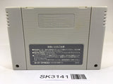 SK3141 Street Fighter II 2 SNES Super Famicom Japan