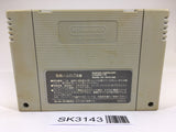 SK3143 Street Fighter II 2 SNES Super Famicom Japan