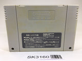 SK3160 Dragon Ball Z Super Butouden 3 SNES Super Famicom Japan
