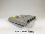 SK3160 Dragon Ball Z Super Butouden 3 SNES Super Famicom Japan