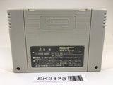 SK3173 Dragon Quest VI 6 SNES Super Famicom Japan