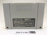 SK3190 Sword World SFC SNES Super Famicom Japan