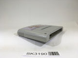 SK3190 Sword World SFC SNES Super Famicom Japan
