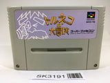 SK3191 Torneco no Daibouken Fushigi no Dungeon SNES Super Famicom Japan