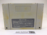 SK3202 Sim City SNES Super Famicom Japan