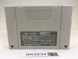 SK3234 Ranma 1/2 Chougi Ranbu Hen SNES Super Famicom Japan