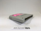 SK3238 Super Nazo Puyo 2 Tsu SNES Super Famicom Japan