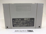 SK3253 Theme Park SNES Super Famicom Japan