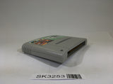 SK3253 Theme Park SNES Super Famicom Japan