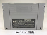 SK3270 Super Tetris 2 + Bombliss SNES Super Famicom Japan