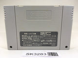 SK3283 New 3D Golf Simulation Devil's Course SNES Super Famicom Japan