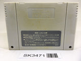 SK3471 Super Mario World SNES Super Famicom Japan