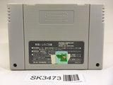 SK3473 Super Mario World SNES Super Famicom Japan