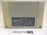 SK3474 Super Mario World SNES Super Famicom Japan