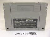 SK3486 Super Mario Kart SNES Super Famicom Japan