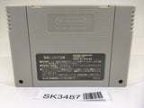 SK3487 Mario's Super Picross SNES Super Famicom Japan