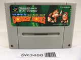 SK3488 Super Donkey Kong Country SNES Super Famicom Japan
