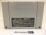 SK3489 Super Donkey Kong Country SNES Super Famicom Japan