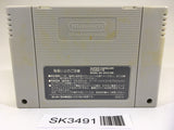 SK3491 Super Donkey Kong Country 2 SNES Super Famicom Japan