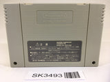 SK3493 Super Donkey Kong Country 3 SNES Super Famicom Japan