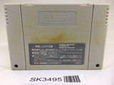 SK3495 Street Fighter II 2 SNES Super Famicom Japan