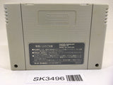 SK3496 Street Fighter II 2 SNES Super Famicom Japan