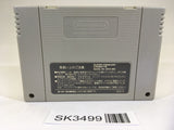 SK3499 Final Fight Guy SNES Super Famicom Japan