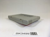 SK3499 Final Fight Guy SNES Super Famicom Japan