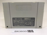 SK3533 The Legend Of Zelda A Link to the Past SNES Super Famicom Japan