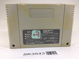 SK3543 Romancing SaGa 2 SNES Super Famicom Japan