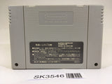 SK3546 Chou Makaimura Super Ghouls 'n Ghosts SNES Super Famicom Japan
