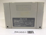 SK3551 Drakkhen SNES Super Famicom Japan