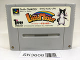 SK3608 Little Master Niji Iro no Maseki SNES Super Famicom Japan