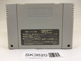 SK3620 The Lion King SNES Super Famicom Japan