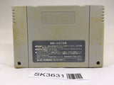 SK3631 F Zero SNES Super Famicom Japan