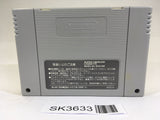 SK3633 Ski Paradise with Snowboard SNES Super Famicom Japan