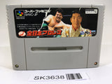 SK3638 Zen Nippon ProWrestling SNES Super Famicom Japan