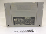 SK3638 Zen Nippon ProWrestling SNES Super Famicom Japan