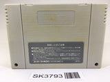 SK3793 Super Mario World SNES Super Famicom Japan