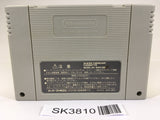 SK3810 Super Donkey Kong Country 2 SNES Super Famicom Japan