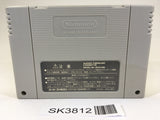 SK3812 Super Donkey Kong Country 2 SNES Super Famicom Japan