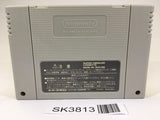 SK3813 Super Donkey Kong Country 2 SNES Super Famicom Japan