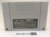 SK3815 Super Donkey Kong Country 3 SNES Super Famicom Japan