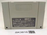 SK3816 Super Donkey Kong Country 3 SNES Super Famicom Japan