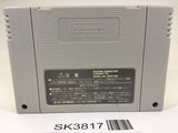 SK3817 Super Donkey Kong Country 3 SNES Super Famicom Japan
