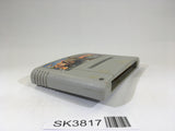 SK3817 Super Donkey Kong Country 3 SNES Super Famicom Japan