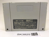 SK3825 Street Fighter II 2 Turbo SNES Super Famicom Japan