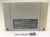 SK3826 Fatal Fury SNES Super Famicom Japan