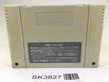 SK3827 Fatal Fury 2 SNES Super Famicom Japan